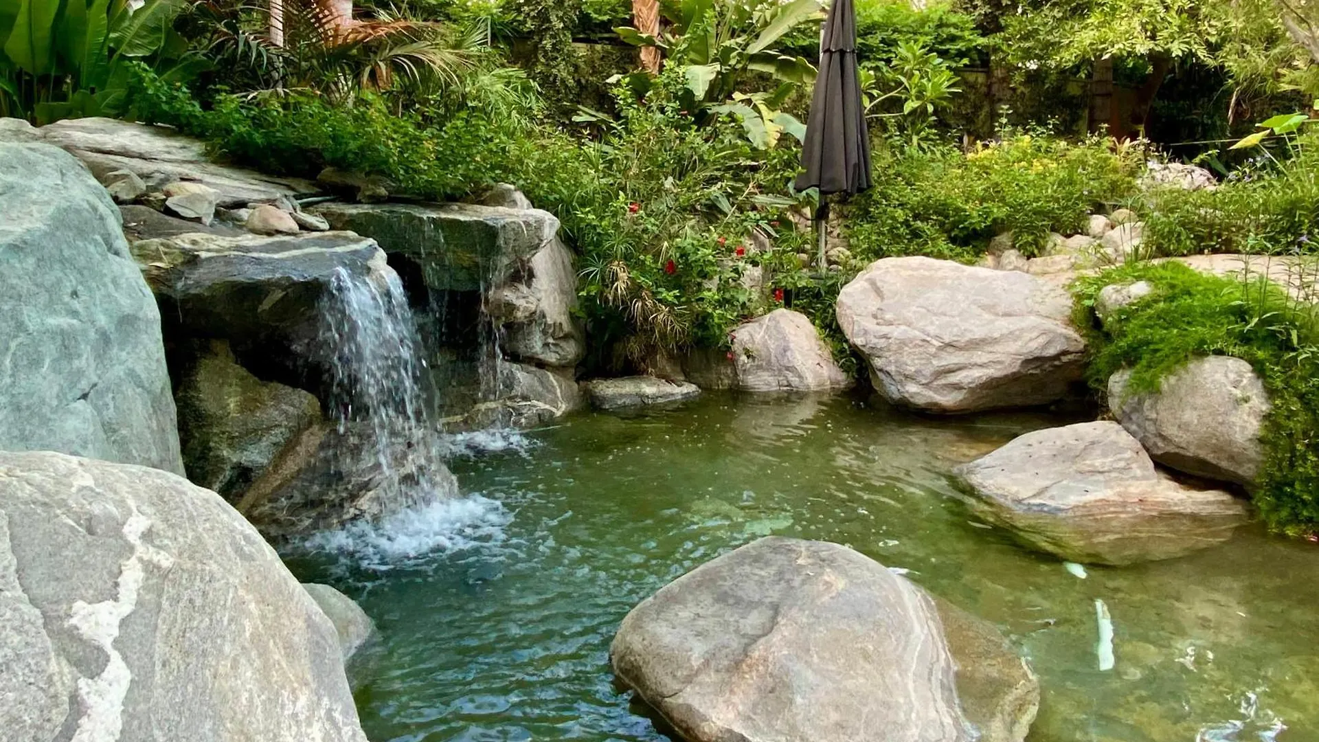 פאלם ספרינגס Vista Grande Resort - A Gay Men'S Resort